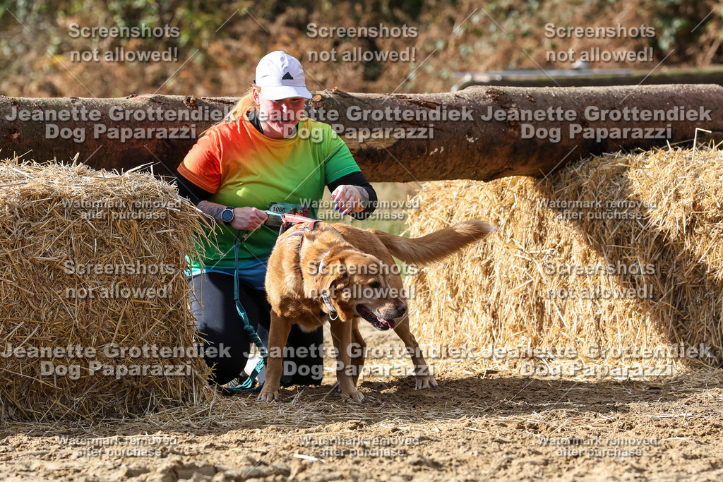 Dog Paparazzi - Strongdog 10-25-5093 | Dog Paparazzi Jeanette Grottendiek Fotografie & Videografie - Realisiert mit Pictrs.com