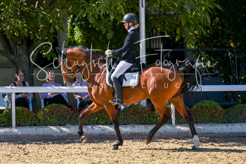 Schugtsche-Aluta25-50.Dressurpferdeprf.L-179 | Schugtsche Fotografie - Realisiert mit Pictrs.com