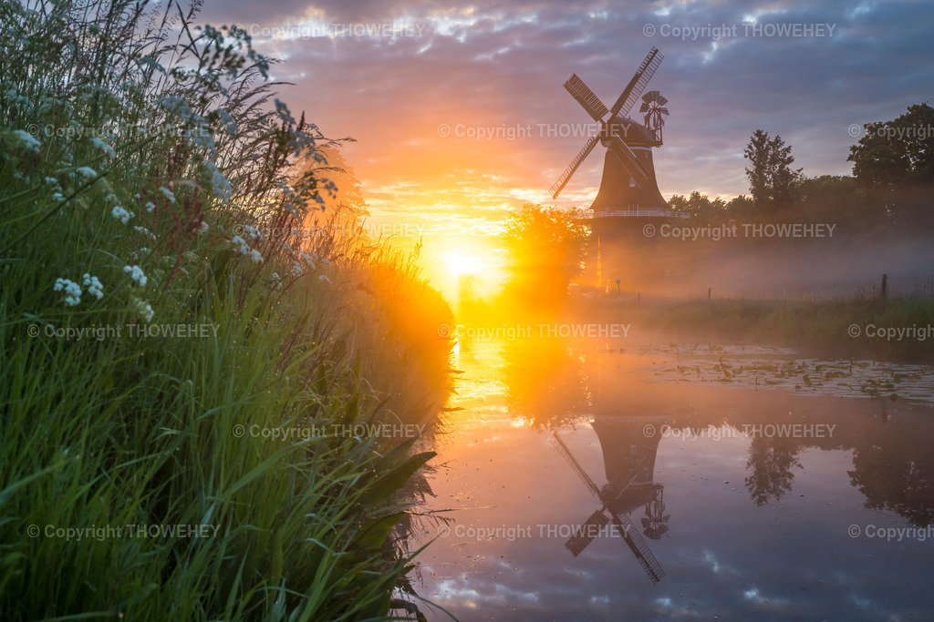 _1132296 | thowehey - Realisiert mit Pictrs.com