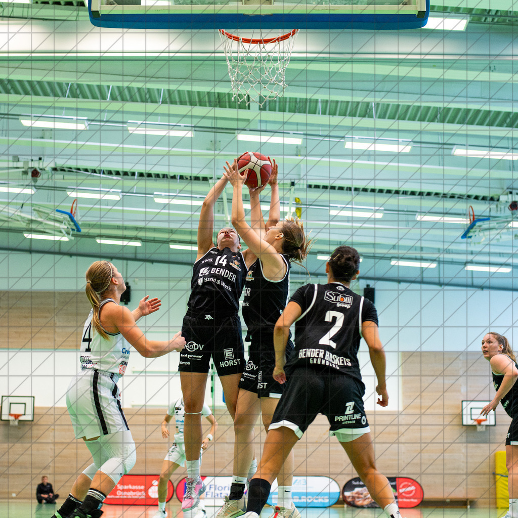 2. DBBL Nord 24/25 | 06.10.2024 | BBC OS vs. Bender Baskets Grünberg | 2. DBBL Nord 24/25 | 06.10.2024 | BBC OS vs. Bender Baskets Grünberg - - - - - CREDIT, www.bullenfotos.de, Martin König, Hörner Weg 40, D-49078 Osnabrück, +4917663732967, Nutzung und Weitergabe nur zu den vereinbarten Zwecken. Presseanfragen an Urheber. Alle Rechte beim Urheber. - - - - - - Realisiert mit Pictrs.com