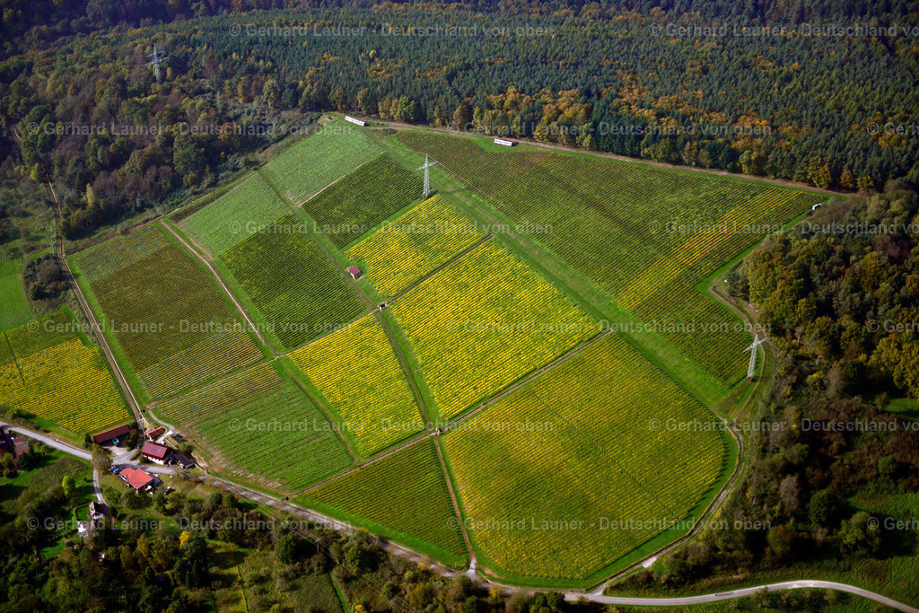 3491045 | Weinberge am Busigberg Großheubach