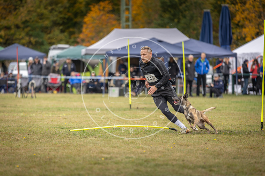 Pfotenfotografie_DV3A8032 | Hundefotografie, Tierfotograf, Pfotenfotografie, Fotoshooting Hund, Hunde Portrait, Hundesport, Hundeportraits, Heideshooting, Hunde, Sportfotograf, Hundefotograf, Turnierhundsport, THS,  - Realisiert mit Pictrs.com