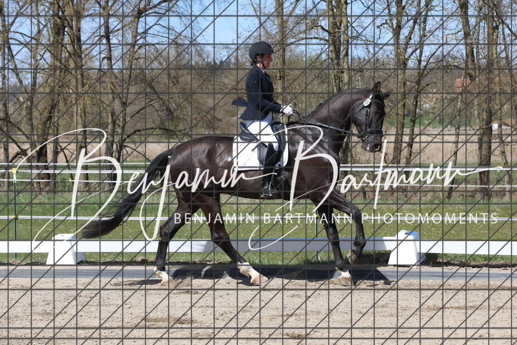 AZ2A4199 | Benjamin Bartmann Photomoments