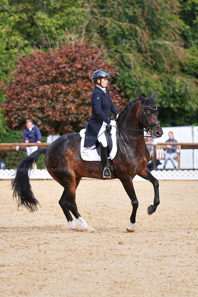 6-176-AMATUER-DRESSUR S_  -Marixx-3683 | working equitationturnier fotograf videograf stoibphotography marixx film working equitation deutschland reitsport turnierfotografie eventfotografie equestrian events