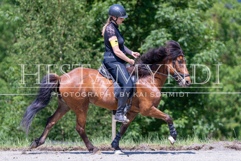 KAI04748 | Ihr sucht einen Fotografen für eure nächste OSI? Ich begleite auch euer Turnier für Islandpferde fotografisch.  - Realisiert mit Pictrs.com