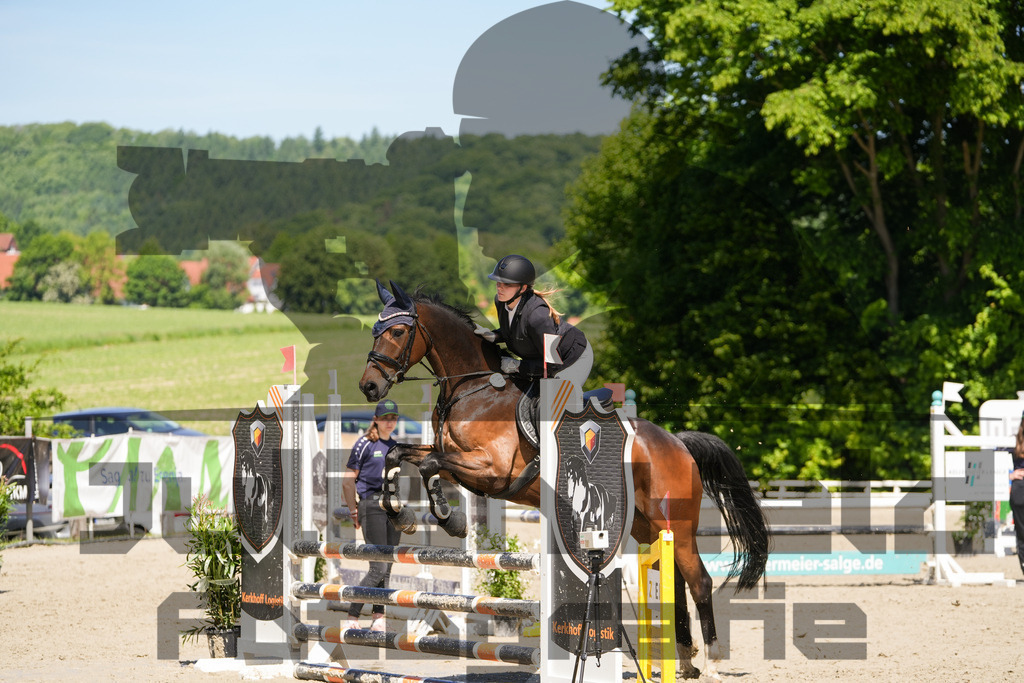 DSC02253 | Julian Held Fotografie - Realisiert mit Pictrs.com