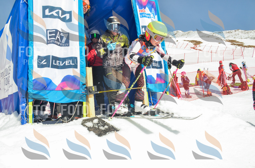 _ELE5337 | holidayphoto