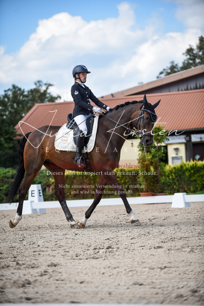 DSC_9401 | Pferde- und Turnierfotografie in Westsachsen. Pferdeportraits, Auftragszeichnungen und intuitive Kunst.