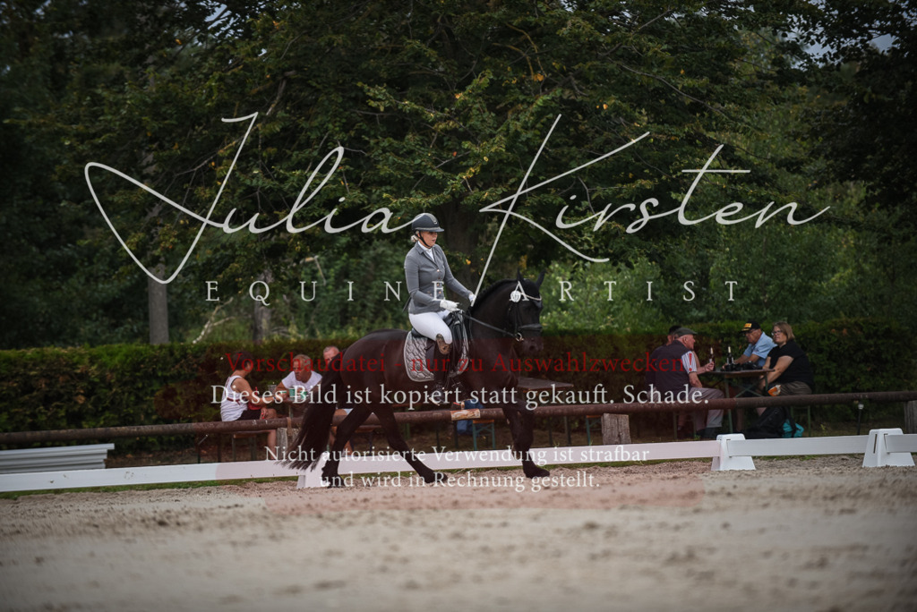 DSC_8311 | Pferde- und Turnierfotografie in Westsachsen. Pferdeportraits, Auftragszeichnungen und intuitive Kunst.