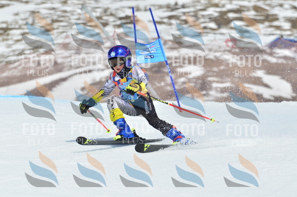 _ELE2087 | holidayphoto