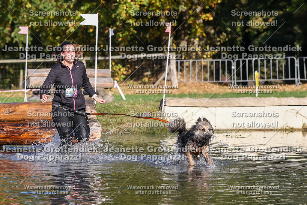 Dog Paparazzi - Strongdog 10-25-8743 | Dog Paparazzi Jeanette Grottendiek Fotografie & Videografie - Realisiert mit Pictrs.com