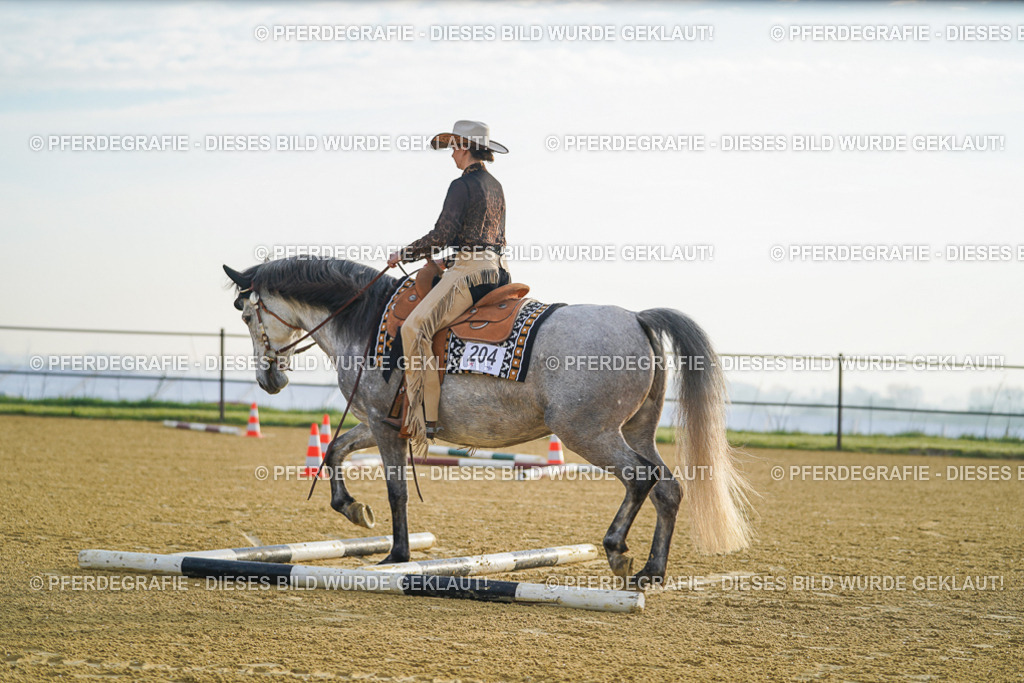 DSC09618 | Pferdegrafie