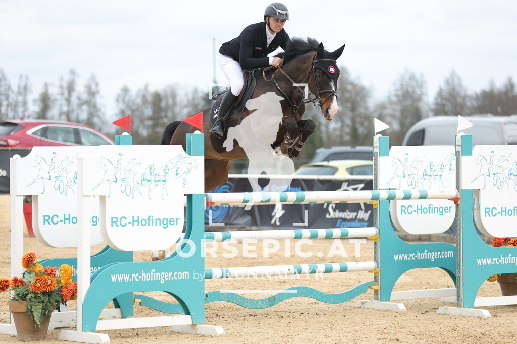 0P6A2154 | Willkommen bei Brunnmayr - Design & Fotografie – Ihrem Spezialisten für Reitturniere und Pferdeveranstaltungen in Oberösterreich, Salzburg und Bayern! Seit über 17 Jahren sind wir leidenschaftlich dabei.