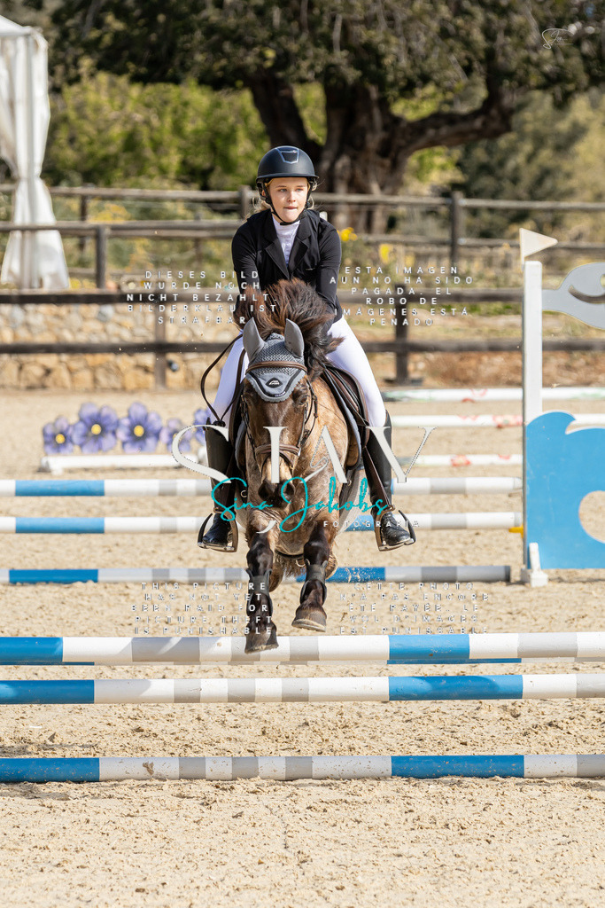 IMG_4258 | s-jay-photography - Realisiert mit Pictrs.com