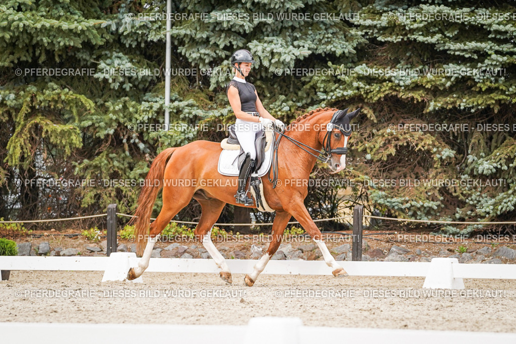 DSC07860 | Pferdegrafie