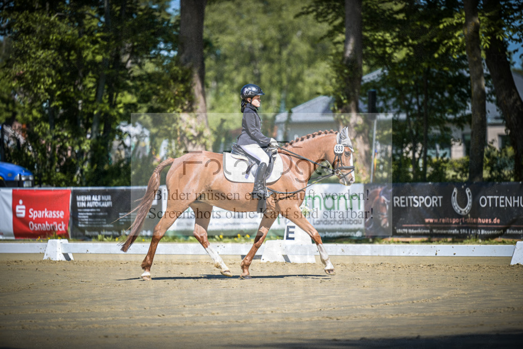 DOS_7728 | Entdecke hochwertige Reitturnierfotos von Foto Oger. Professionell, emotional und authentisch – jetzt Lieblingsmomente im Shop bestellen.Deutschlandweite Turnierfotografie. - Realisiert mit Pictrs.com