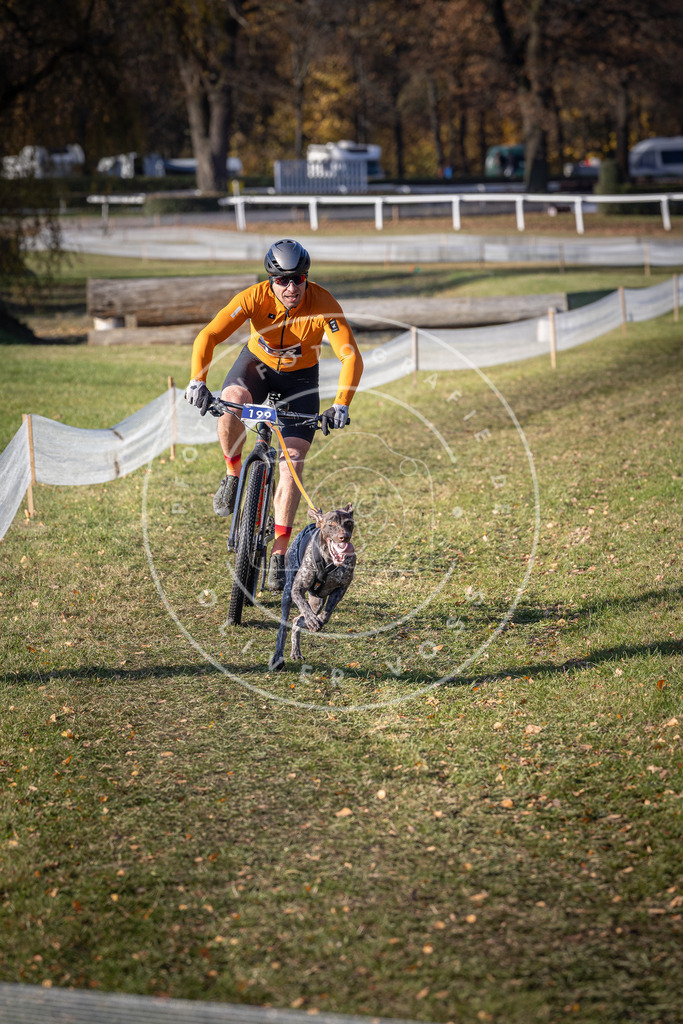 CaniXpix_DV3A2683 | Hundefotografie, Tierfotograf, Pfotenfotografie, Fotoshooting Hund, Hunde Portrait, Hundesport, Hundeportraits, Heideshooting, Hunde, Sportfotograf, Hundefotograf, Turnierhundsport, THS,  - Realisiert mit Pictrs.com