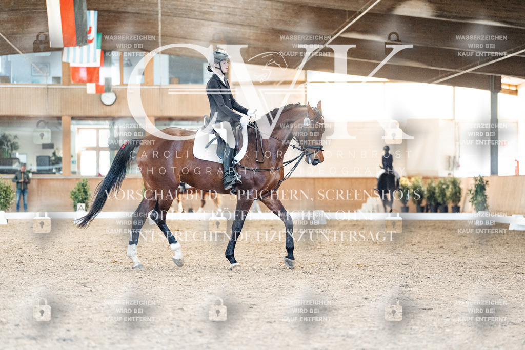 CK908055 | Turnierfotografie Pferdefotografie Trier Rheinland-Pfalz Pferdesport Reitsport Tierfotografie Sportfotografie Pferdevideo Pferdevideografie Equestrianvideography equestrianphotography  - Realized with Pictrs.com