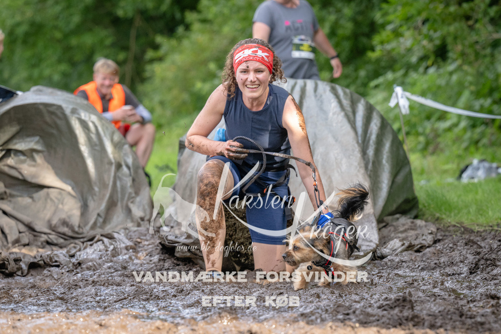 1629_ZZ93417 | kk-dogfotos