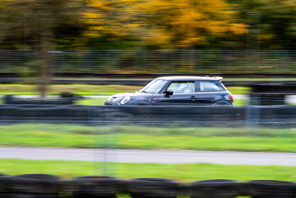 Teningen_2025-7 | Bernd Kohlen - Fotograf | Bilder / Prints kaufen | Landschaften, Sport, Reportagen, Events, Hochzeiten, wedding, Tiere u.v.m. - Realisiert mit Pictrs.com