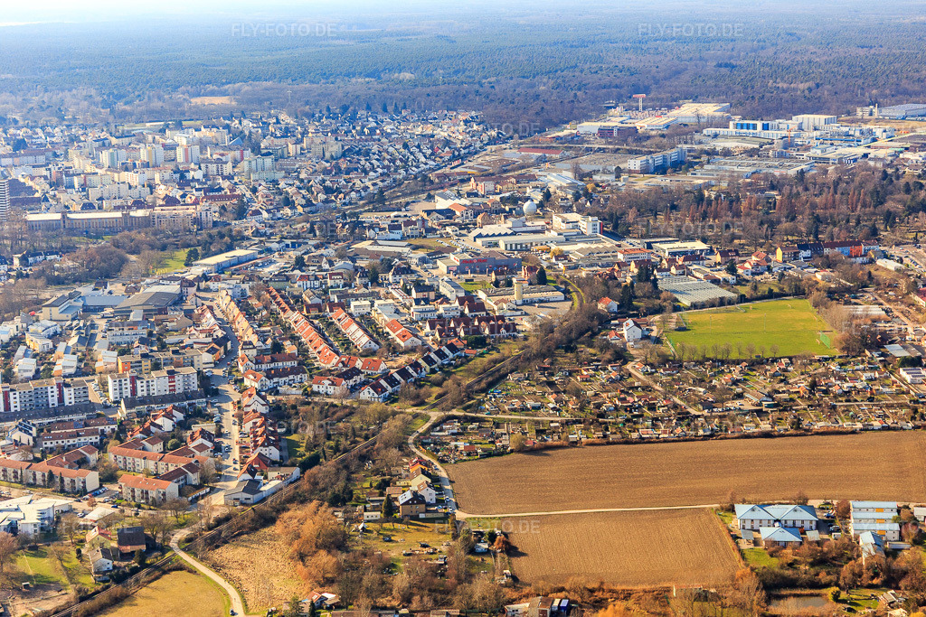 Luftbild: Speyer West, Kuhweide in Speyer im Bundesland Rheinland-Pfalz in Deutschland. Foto: IMG_125954.jpg vom 07.03.2021 durch Werner Riehm/FLY-FOTO.de