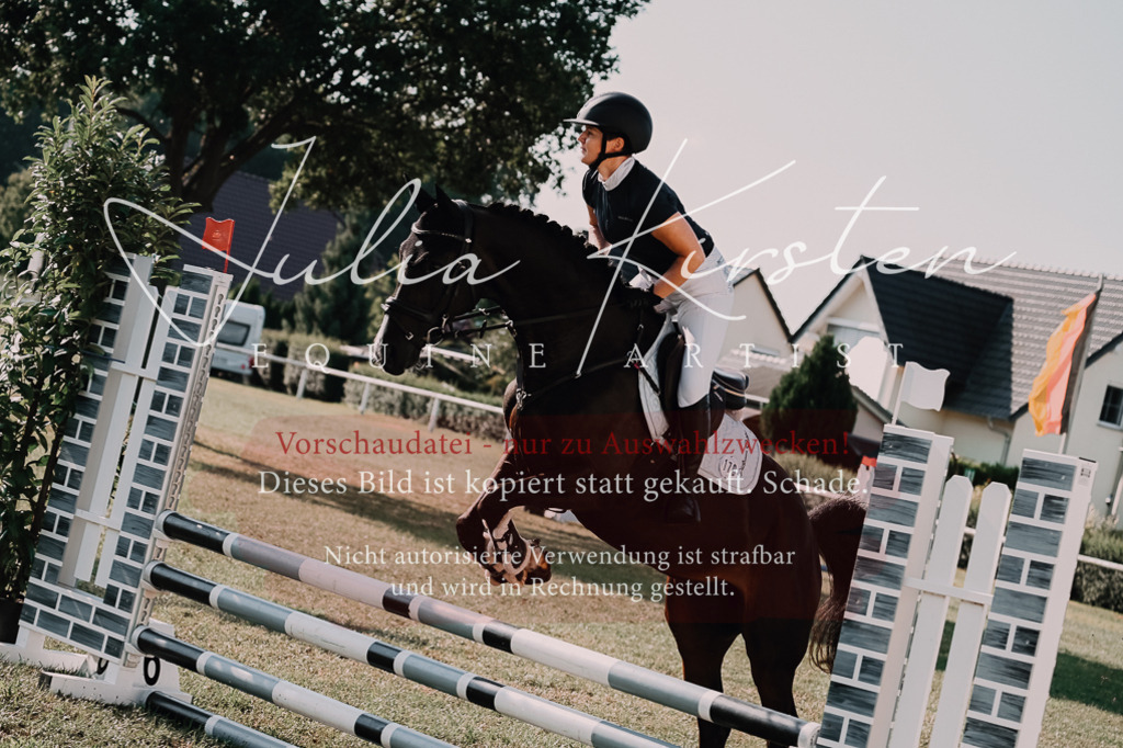 DSC_4712 | Pferde- und Turnierfotografie in Westsachsen. Pferdeportraits, Auftragszeichnungen und intuitive Kunst.