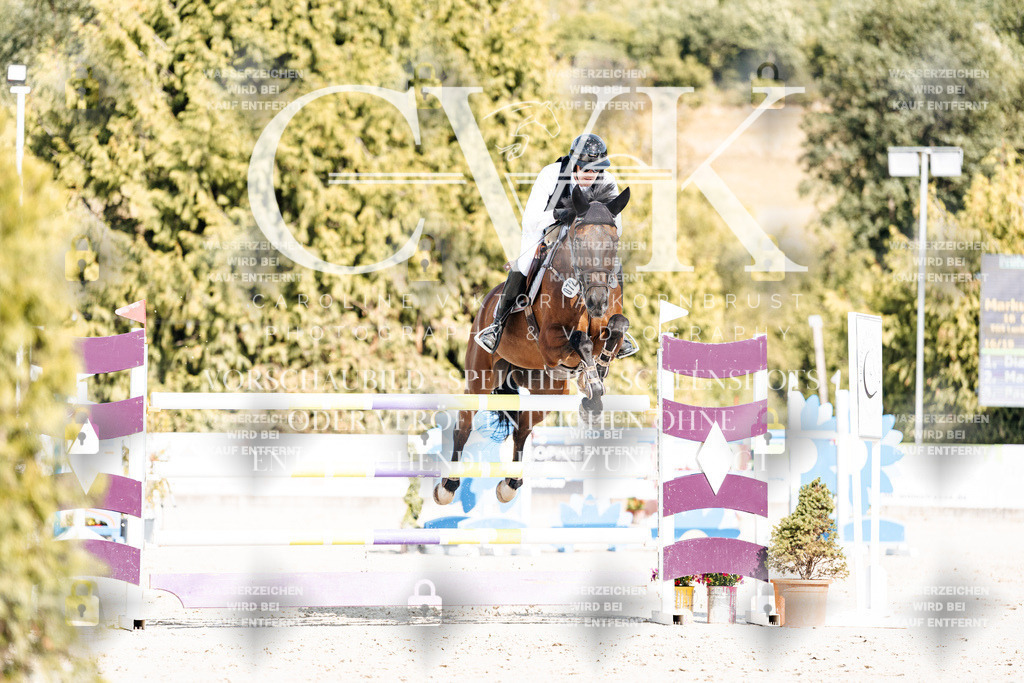CK909087 | Turnierfotografie Pferdefotografie Trier Rheinland-Pfalz Pferdesport Reitsport Tierfotografie Sportfotografie Pferdevideo Pferdevideografie Equestrianvideography equestrianphotography  - Realisiert mit Pictrs.com