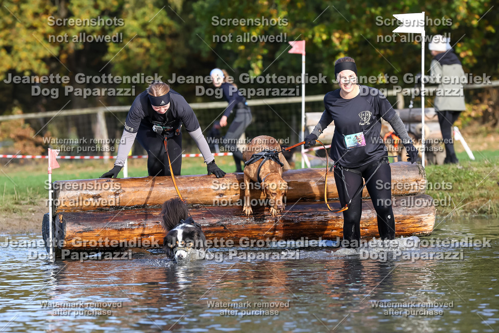 Dog Paparazzi - Strongdog 10-25-8407 | Dog Paparazzi Jeanette Grottendiek Fotografie & Videografie - Realisiert mit Pictrs.com