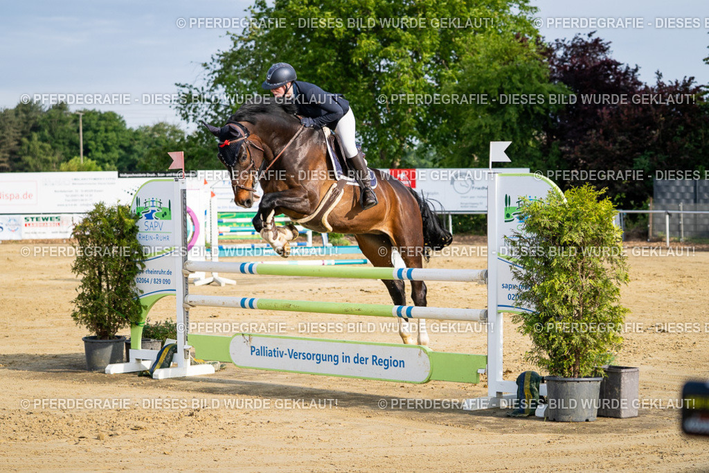 DSC02896 | Pferdegrafie