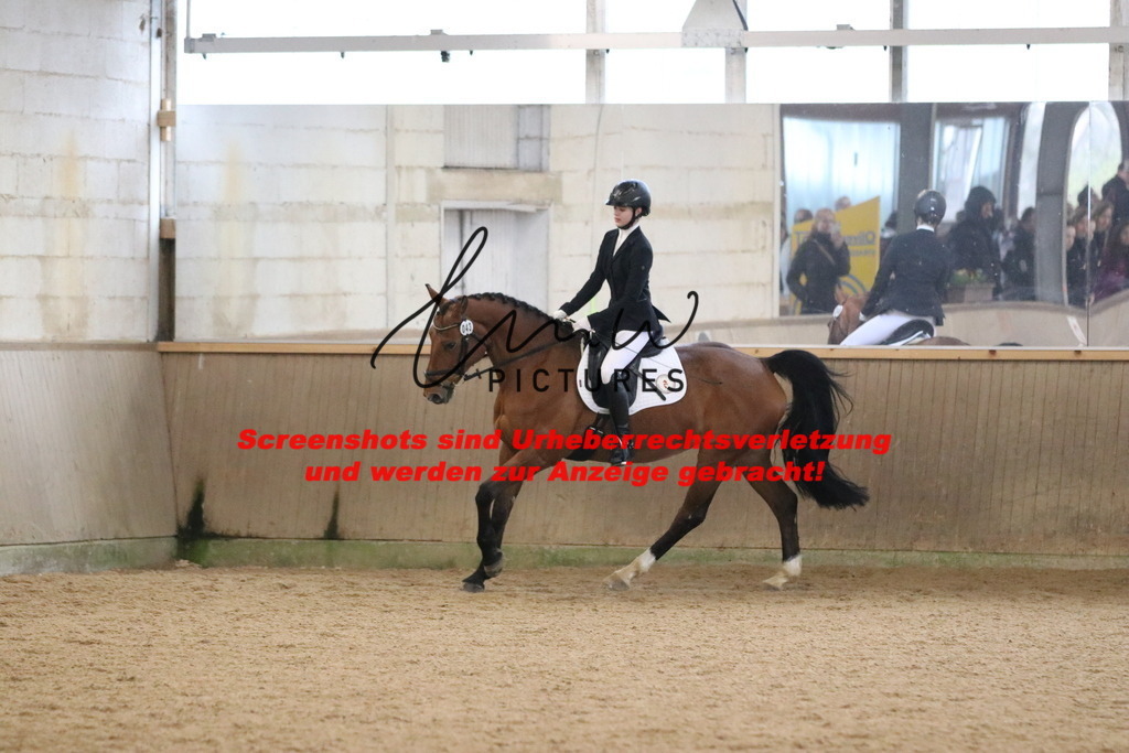 IMG_4337 | lmwpictures - Realisiert mit Pictrs.com