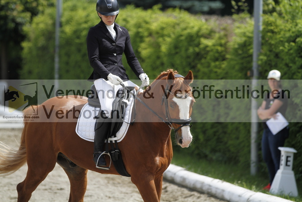 _MG_8647 | equestrian-live-com