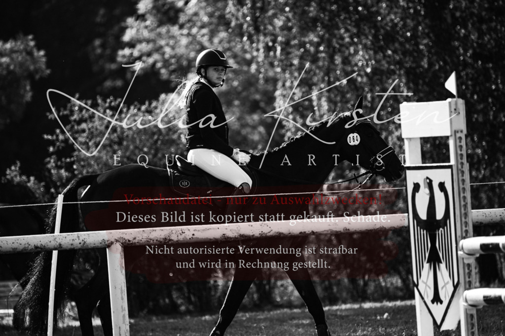 DSC_7405 | Pferde- und Turnierfotografie in Westsachsen. Pferdeportraits, Auftragszeichnungen und intuitive Kunst.