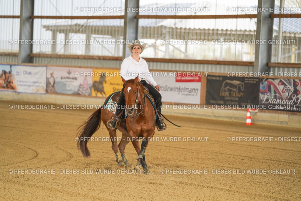 DSC00296 | Pferdegrafie