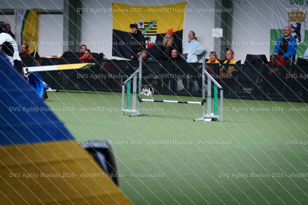 allesWIRTHgut_Tierfotografie-DVG_Agility_Masters_2026-13_51-7R504108 | Professionelle Tierfotografie in Mönchengladbach von Daniel Wirth (allesWIRTHgut). Liebevolle & natürliche Bilder von Hunden & Katzen für unvergessliche Erinnerungen.