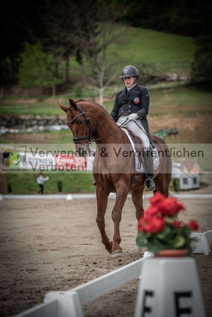 DSC_2555 | equestrian-live-com