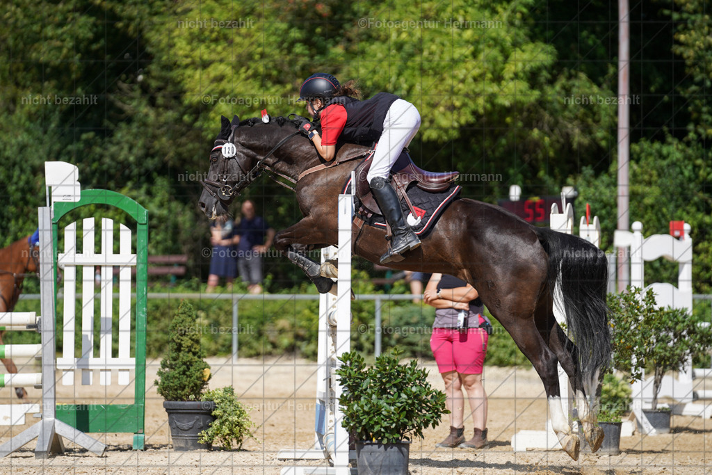 20240824-FAH08255 | Thierhaupten 2024, Bayerisches Landesponyturnier, Turnierbilder, Ponybilder, Turnierfotografen Bayern, Fotoagentur Herrmann