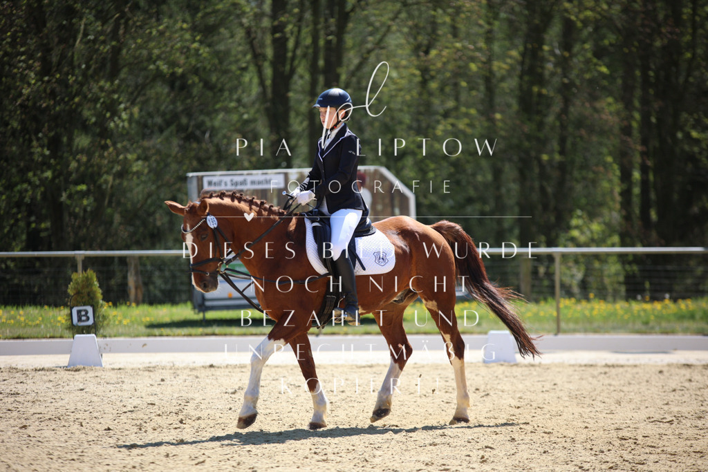 IMGT0782 | pl-fotografie