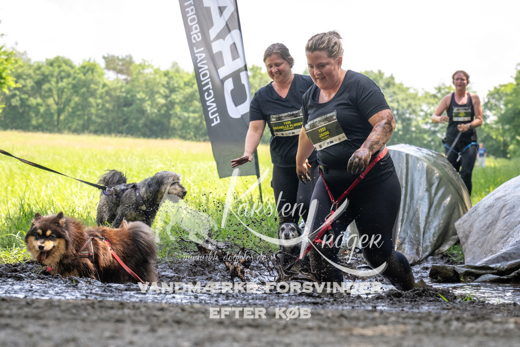 1200_ZZ90950 | kk-dogfotos