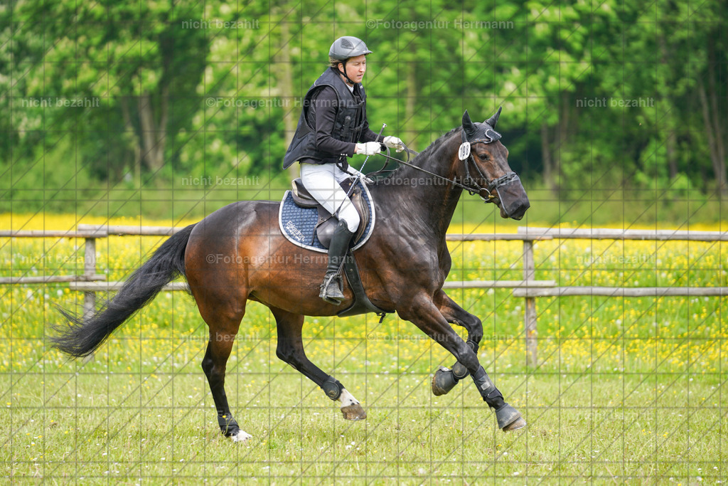 20230520-FAH05193 | Frühjahrsturnier, Landsberg am Lech, 2023, Reitclub Landsberg, Turnierbilder, Fotos Turnier Landsberg, Fotoagentur Herrmann, Turnierfotografen Bayern, Reitsport Fotograf, Pferde Fotograf