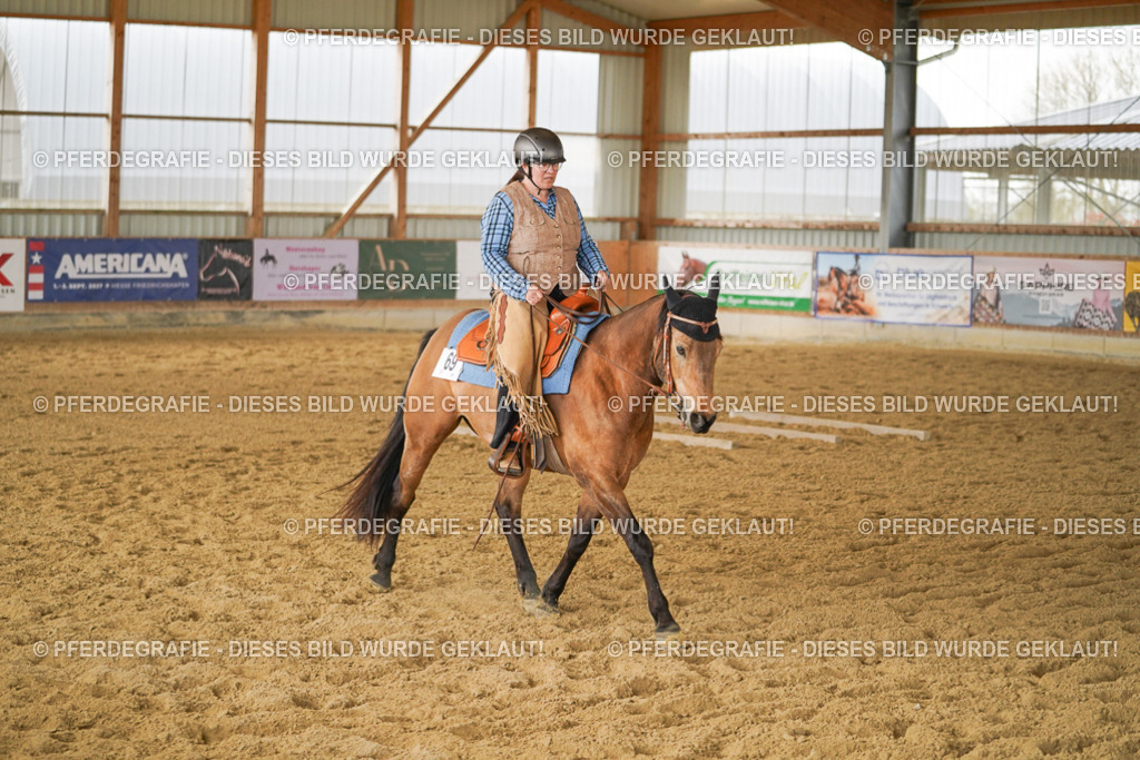 DSC04571 | Pferdegrafie