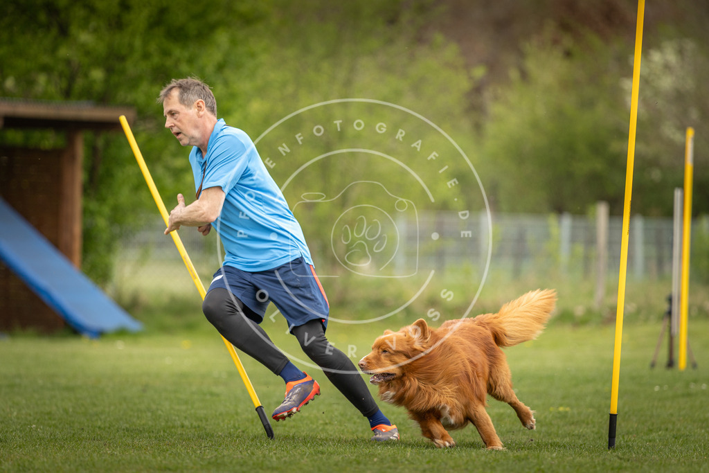 Pfotenfotografie_DV3A7380 | Hundefotografie, Tierfotograf, Pfotenfotografie, Fotoshooting Hund, Hunde Portrait, Hundesport, Hundeportraits, Heideshooting, Hunde, Sportfotograf, Hundefotograf, Turnierhundsport, THS,  - Realisiert mit Pictrs.com