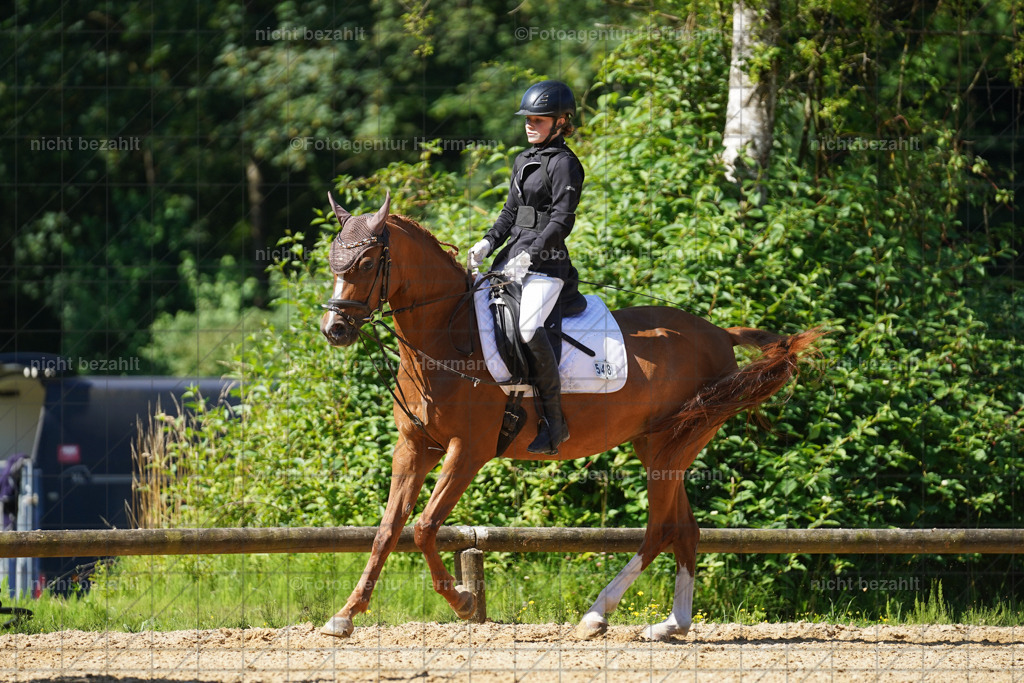 20240706-FAH04860 | Grafing Turnierfotos, Reitverein Ebersberg, Turnierfotografen Bayern, reitsportbilder, Pferdefotograf, reitsportfotograf, Sportbilder, Reitsportfotografie, Fotoagentur Herrmann, Turnierfotograf