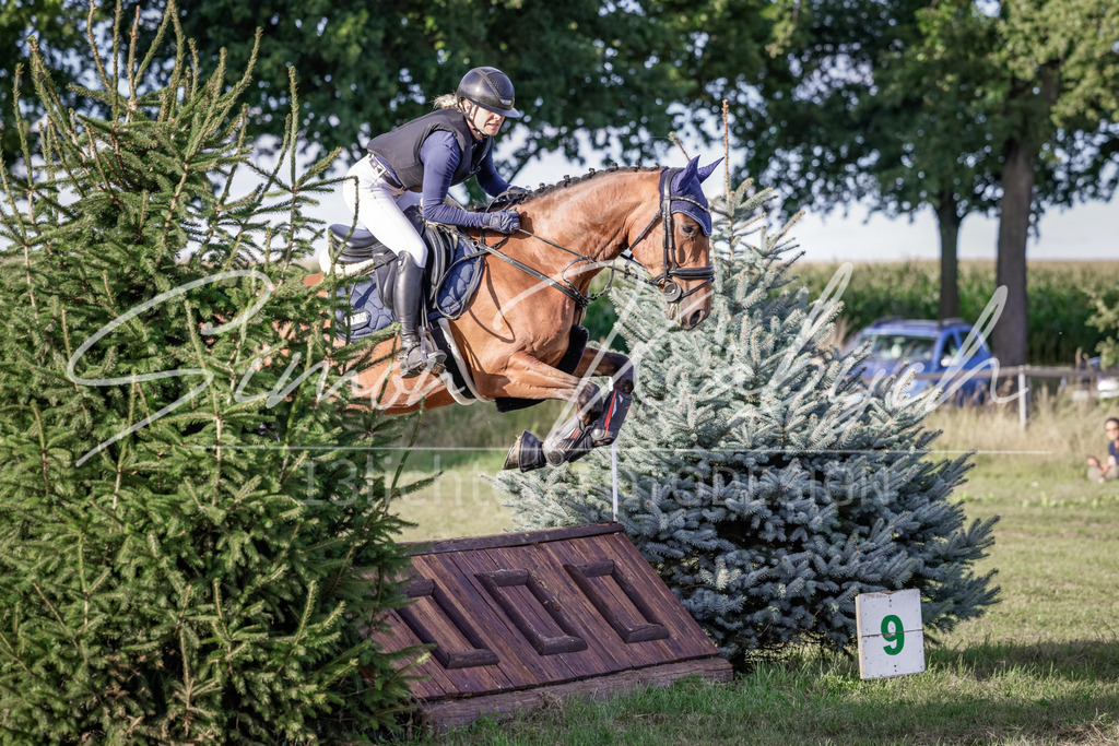 20250906-_3LI7757 | Tierfotografie Pferde, Hunde, Katzen, Haustiere.
Turnierfotografie Reitturniere, Reiten, Springreiten, Dressur in Hanau, dem Main-Kinzig-Kreis und dem Rhein-Main- Gebiet um Frankfurt