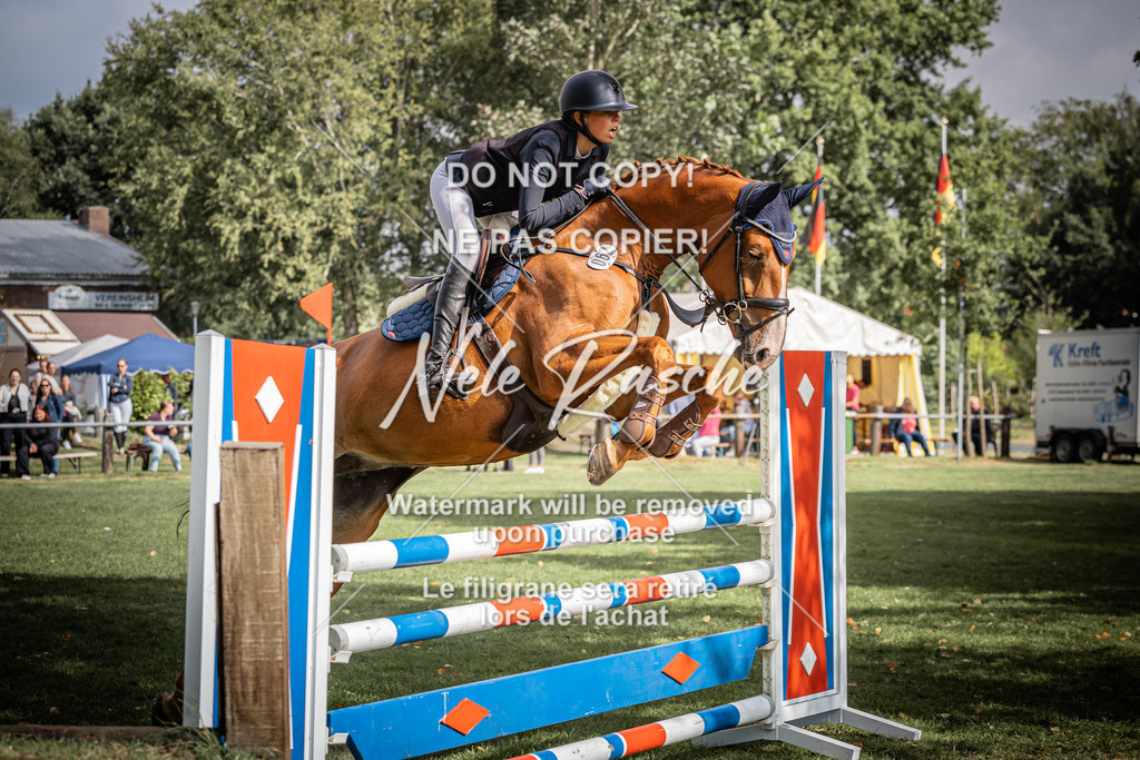 nelerasche_SprL__110Ede_10 | nelerasche