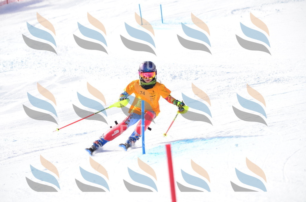 C7933 | holidayphoto