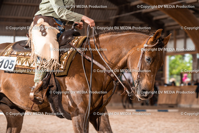 Heidelberg Tag 2-513 | dv-media-shop - Realized with Pictrs.com