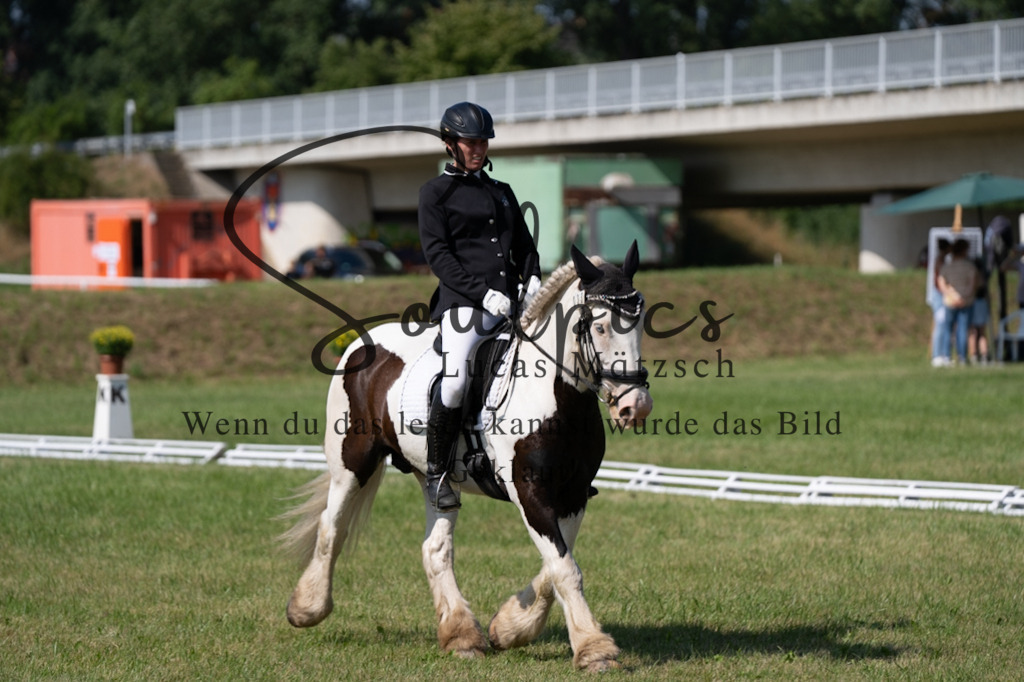 A7V09605 | Pferdefotograf