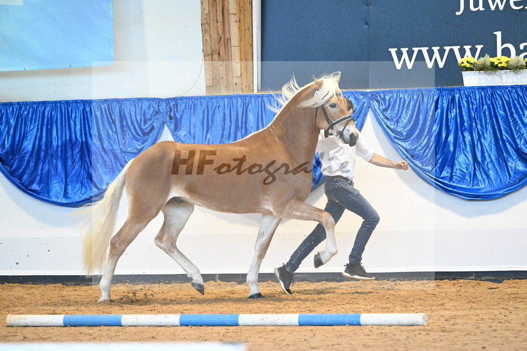 Kat-Nr. 10 nn v. Bugatti_Obermeyer_60220679 | hf-fotografie - Realisiert mit Pictrs.com