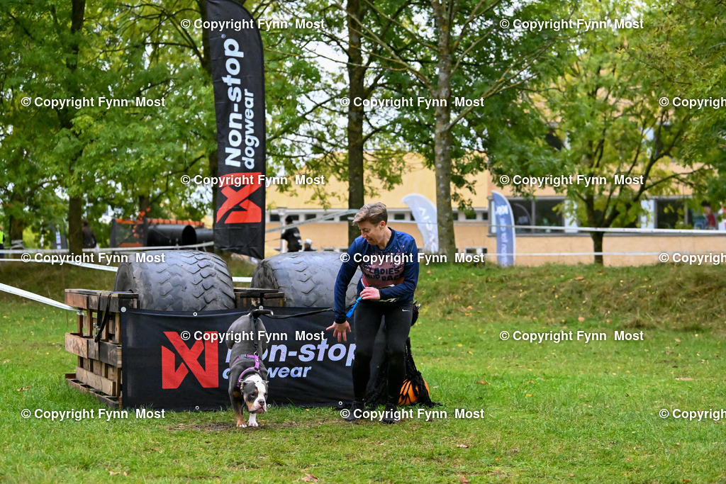 DSC_2964 | Hallo und herzlich Willkommen auf meiner Shop-Seite Fynn Most.

Ich wünsche Dir viel Spaß beim stöbern durch die Bilder, wenn Du Fragen hast oder Bilder vermisst, kannst du mir gerne eine Nachricht schreiben. - Realisiert mit Pictrs.com