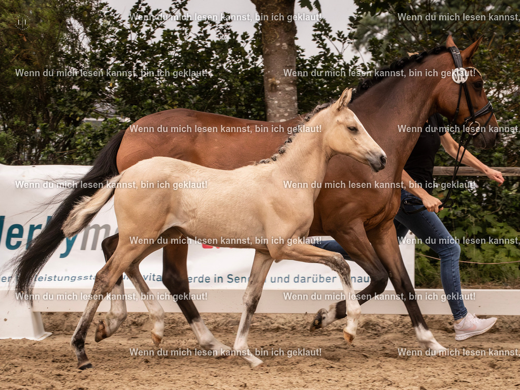 A10I3220-Verbessert-RR 15.56.14 | photographylinaismer - Realisiert mit Pictrs.com